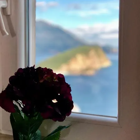 Violeta Διαμέρισμα